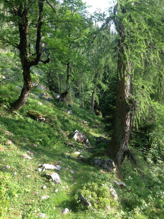 Alte Zimmerei -
